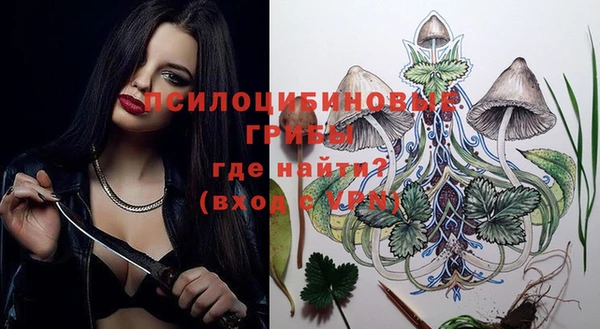 гашик Саяногорск