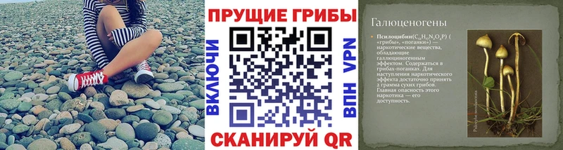 Галлюциногенные грибы прущие грибы  MEGA ссылки  площадка состав  Ишимбай 